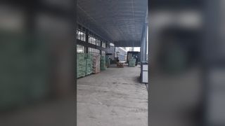 Daily shipping videos